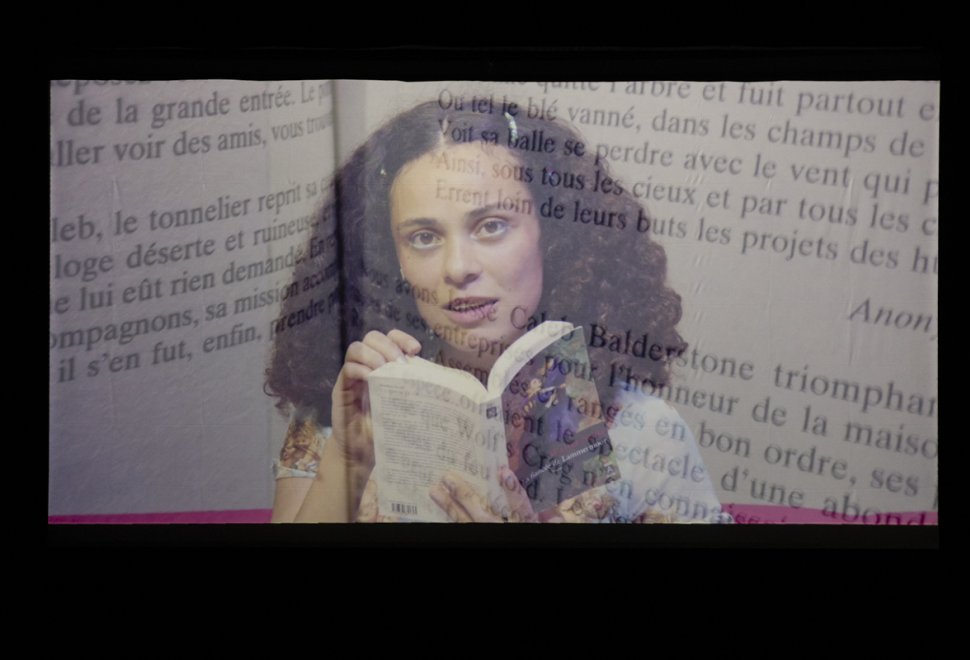 Madame Bovary (roman-performance)